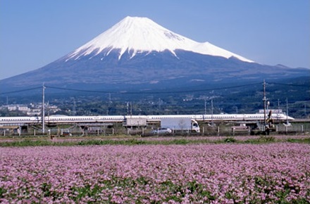 富士市の土地の特徴