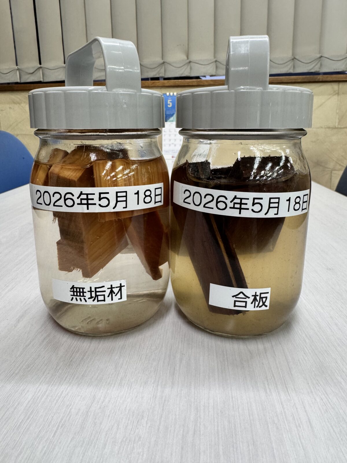 無垢材と合板の瓶詰め実験👀