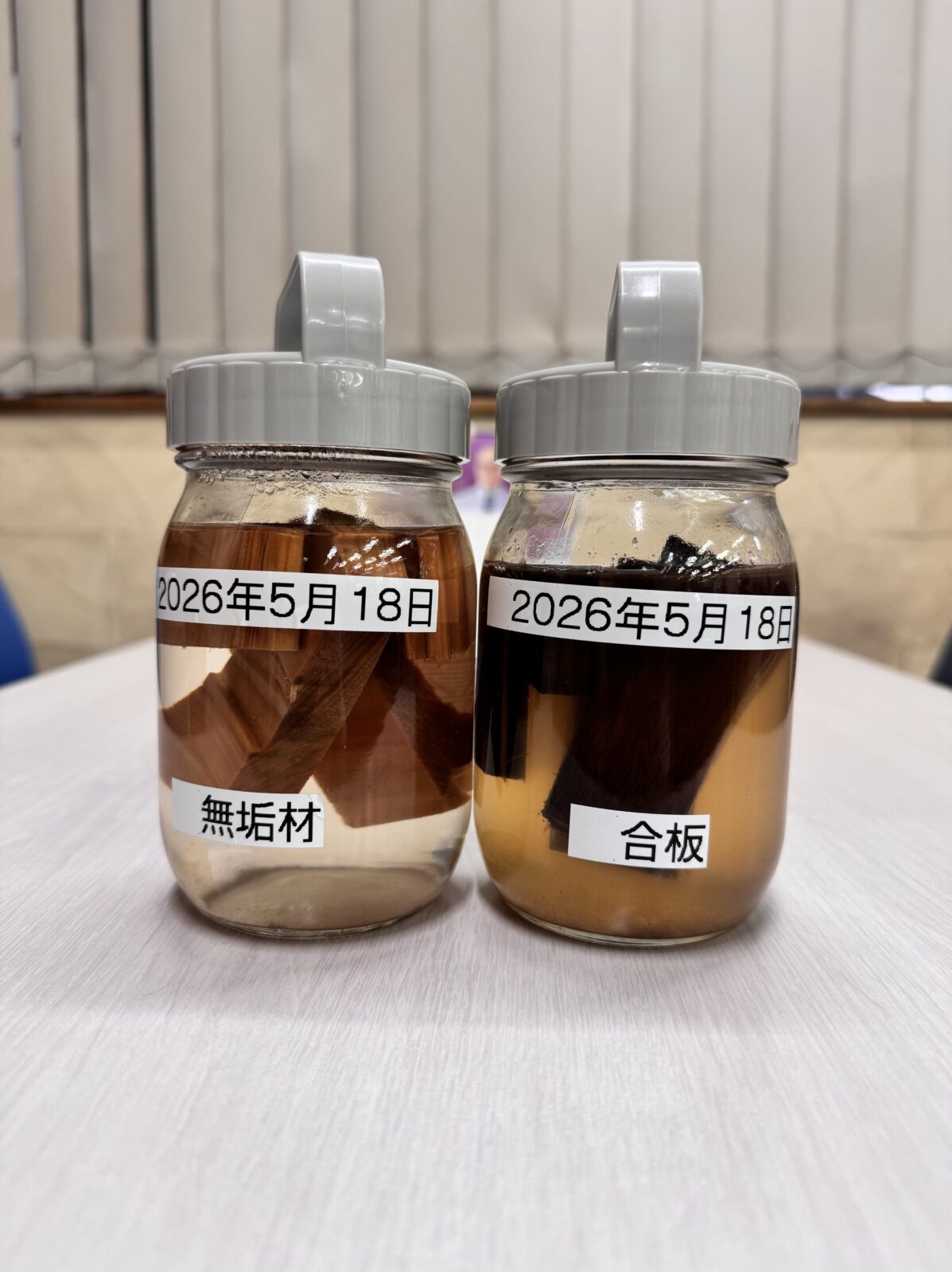 無垢材と合板の瓶詰め実験　20日後👀