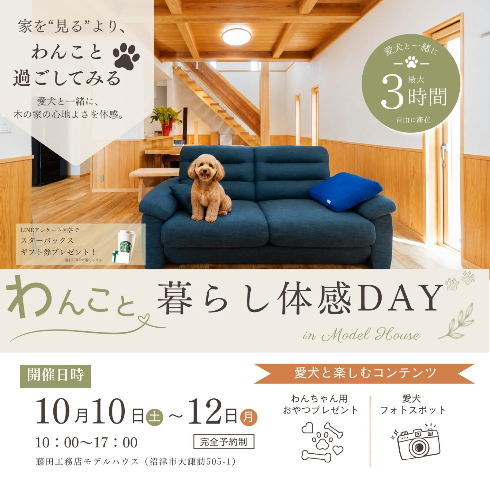 沼津で愛犬と参加できる住宅イベント｜わんこと暮らし体感DAY｜藤田工務店　開催日：10月10日(土)～12日(月/祝)